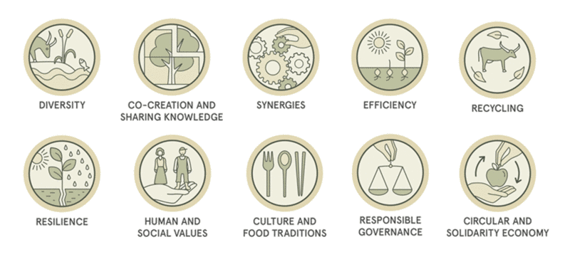 I 10 elementi dell' agroecologia